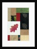 Essential Nature Block 2T by Phillip Jaeger