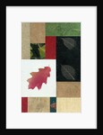 Essential Nature Block 2T by Phillip Jaeger