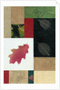 Essential Nature Block 2T by Phillip Jaeger