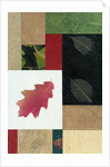 Essential Nature Block 2T by Phillip Jaeger