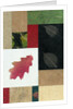 Essential Nature Block 2T by Phillip Jaeger