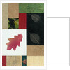 Essential Nature Block 2T by Phillip Jaeger