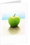 Green Granny Smith Apple by Anonymous