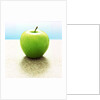 Green Granny Smith Apple by Anonymous