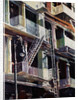 Soho Fire Escapes by Patti Mollica