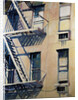 Fire Escapes III by Patti Mollica