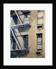 Fire Escapes III by Patti Mollica