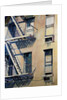 Fire Escapes III by Patti Mollica