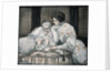 New Baby's Biography Book Illustration by Ruth Mary Hallock
