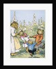 Playdays on Plum Blossom Creek by Warner Carr
