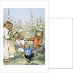 Playdays on Plum Blossom Creek by Warner Carr