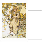 Jackieboy in Rainbowland by Fanny Cory