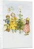 Christmas Postcard by Anonymous