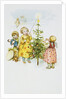 Christmas Postcard by Anonymous