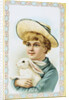 Postcard Depicting a Boy Holding a White Rabbit by Anonymous