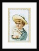 Postcard Depicting a Boy Holding a White Rabbit by Anonymous