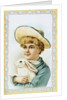 Postcard Depicting a Boy Holding a White Rabbit by Anonymous