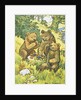 Illustration Depicting Three Picnicking Bears by Rosa C. Petherick