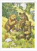 Illustration Depicting Three Picnicking Bears by Rosa C. Petherick
