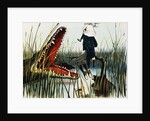 Illustration Depicting Two People Threatened by an Alligator by Luther Daniels Bradley