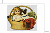 Illustration Depicting a Girl and A Dog in a Basket by Anonymous