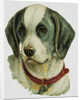 Illustration Depicting a Brown and White Dog by Anonymous