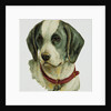 Illustration Depicting a Brown and White Dog by Anonymous