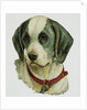 Illustration Depicting a Brown and White Dog by Anonymous