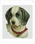 Illustration Depicting a Brown and White Dog by Anonymous