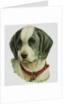 Illustration Depicting a Brown and White Dog by Anonymous