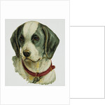 Illustration Depicting a Brown and White Dog by Anonymous