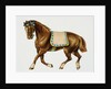 Illustration Depicting a Brown Pony by Anonymous