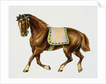Illustration Depicting a Brown Pony by Anonymous