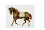 Illustration Depicting a Brown Pony by Anonymous