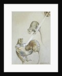 Book Illustration Depicting Three Mice on a Ladle by Margaret Winifred Tarrant