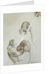Book Illustration Depicting Three Mice on a Ladle by Margaret Winifred Tarrant