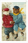 The Ice Bears Beautifully Postcard by Anonymous