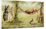 Postcard of Relaxing Rabbits by Anonymous
