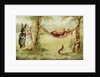 Postcard of Relaxing Rabbits by Anonymous
