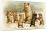 Postcard of Dancing Pigs by Anonymous