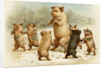 Postcard of Dancing Pigs by Anonymous