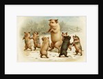 Postcard of Dancing Pigs by Anonymous