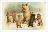 Postcard of Dancing Pigs by Anonymous