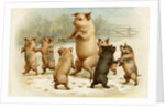 Postcard of Dancing Pigs by Anonymous
