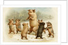 Postcard of Dancing Pigs by Anonymous
