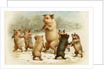 Postcard of Dancing Pigs by Anonymous