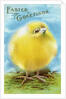 Easter Greetings Postcard with a Chick by Anonymous