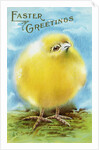 Easter Greetings Postcard with a Chick by Anonymous