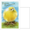 Easter Greetings Postcard with a Chick by Anonymous