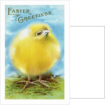Easter Greetings Postcard with a Chick by Anonymous